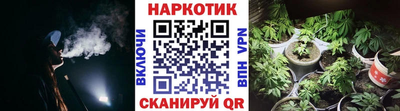 Все наркотики Елизово ГАШИШ Альфа ПВП Мефедрон Галлюциногенные грибы Каннабис
