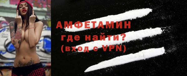 шишки Гусев