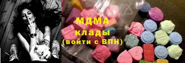 шишки Гусев