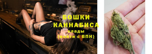 прущие крисы Гусь-Хрустальный