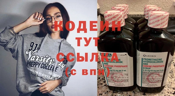 шишки Гусев