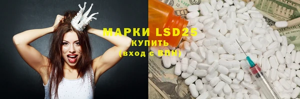 шишки Гусев
