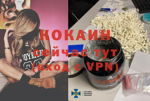 шишки Гусев