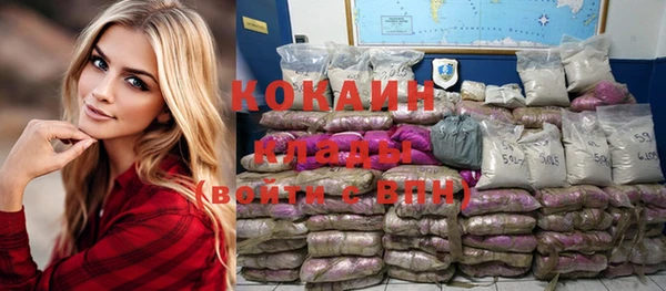 шишки Гусев