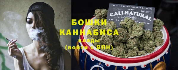 шишки Гусев