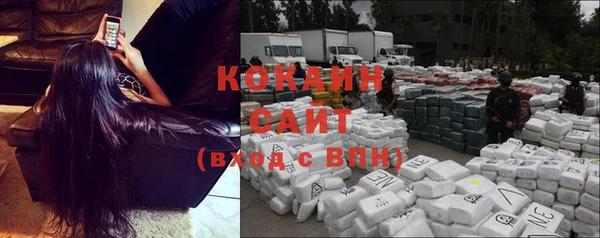 шишки Гусев