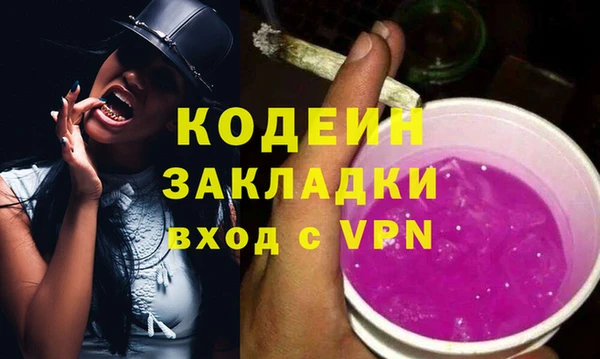 шишки Гусев