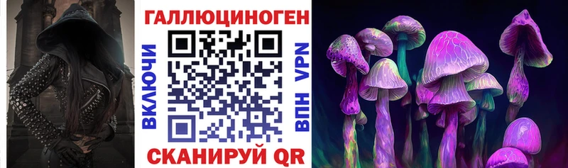 где купить   Елизово  Галлюциногенные грибы мицелий 