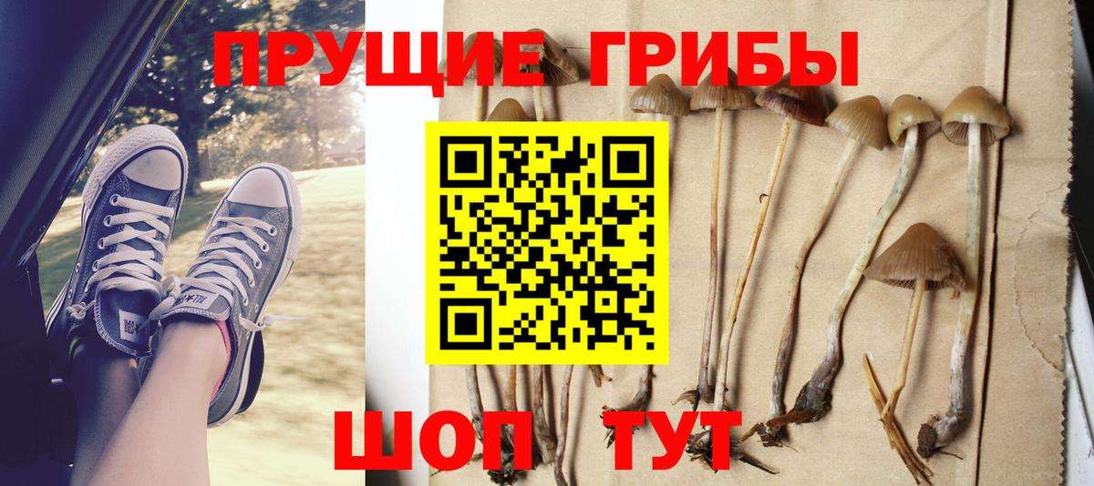 Галлюциногенные грибы Magic Shrooms Елизово