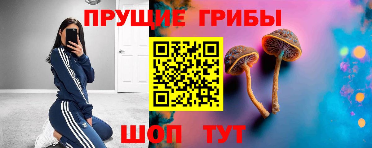 Галлюциногенные грибы Cubensis  Псилоцибиновые грибы мухоморы  Елизово  Вход с VPN 
