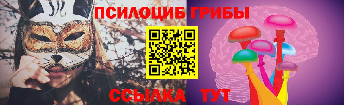 Псилоцибиновые грибы Psilocybine cubensis  Елизово  наркотики  Псилоцибиновые грибы MAGIC MUSHROOMS 