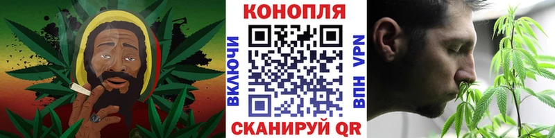 Бошки Шишки гибрид  Елизово 